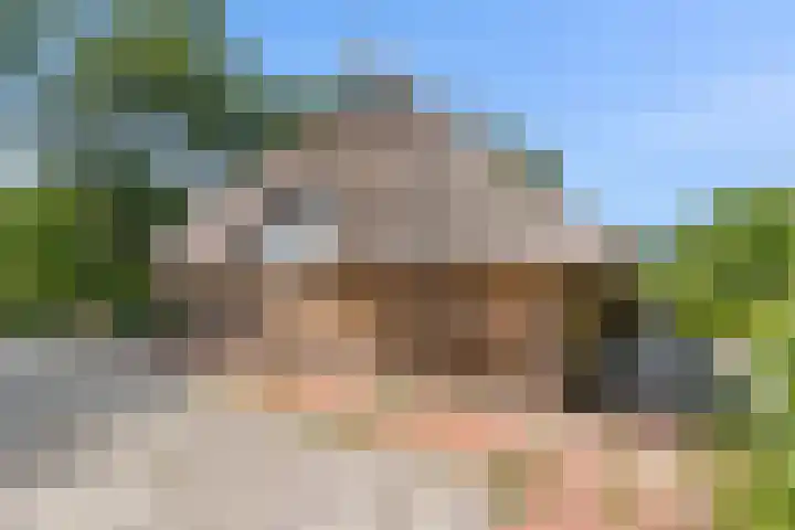 Binnenweg 37 Paasloo thumbnail 14