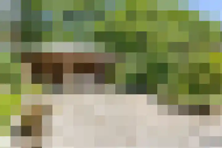 Binnenweg 37 Paasloo thumbnail 15