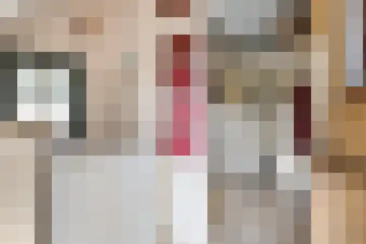 Binnenweg 37 Paasloo thumbnail 20