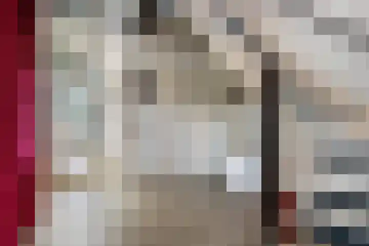 Binnenweg 37 Paasloo thumbnail 22