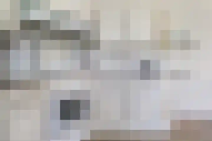Binnenweg 37 Paasloo thumbnail 39