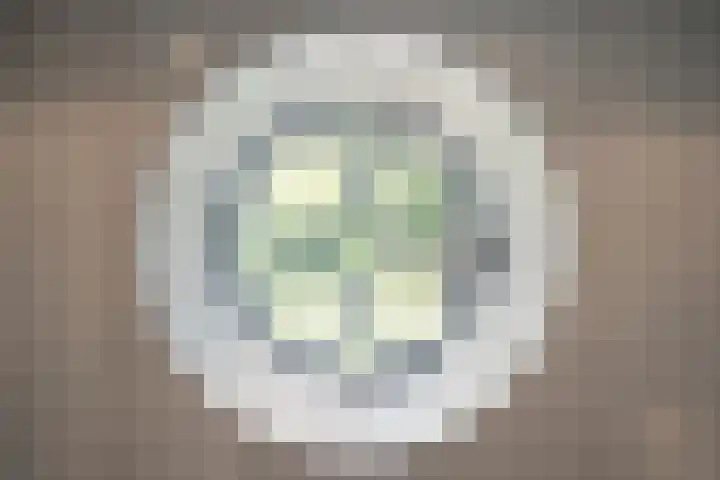 Binnenweg 37 Paasloo thumbnail 47