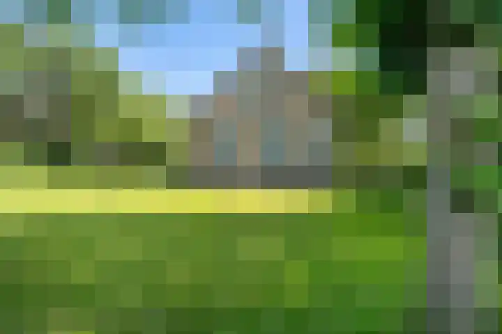 Binnenweg 37 Paasloo thumbnail 5