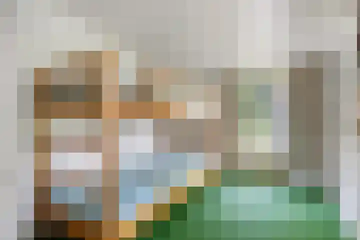 Binnenweg 37 Paasloo thumbnail 50