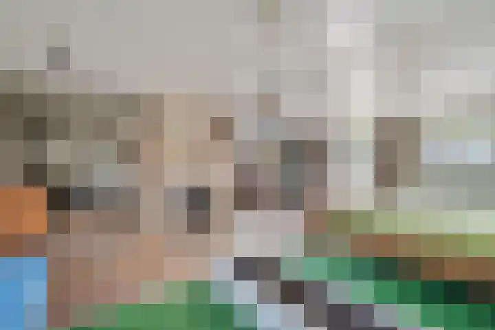 Binnenweg 37 Paasloo thumbnail 51