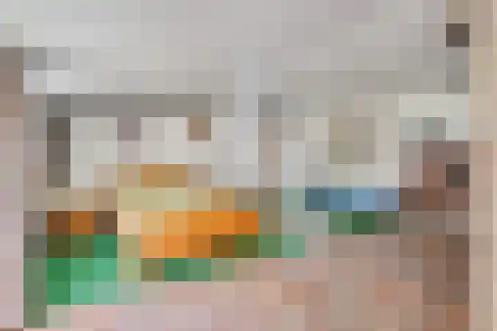 Binnenweg 37 Paasloo thumbnail 54