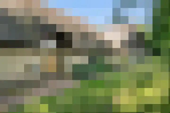Binnenweg 37 Paasloo thumbnail 6