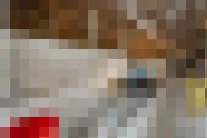 Binnenweg 37 Paasloo thumbnail 66