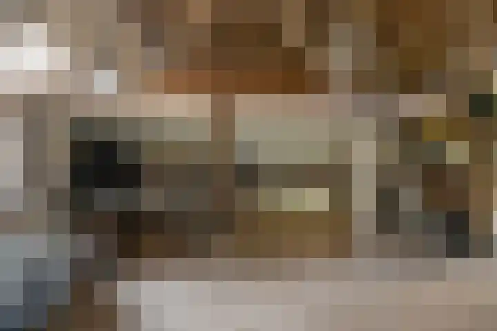 Binnenweg 37 Paasloo thumbnail 68