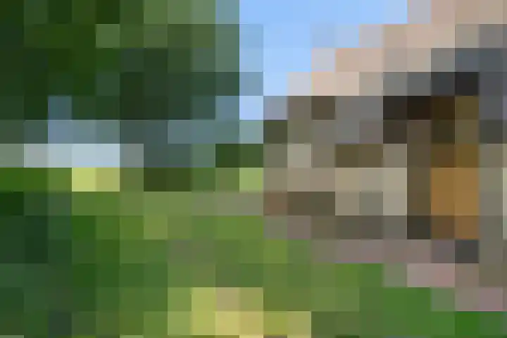 Binnenweg 37 Paasloo thumbnail 7