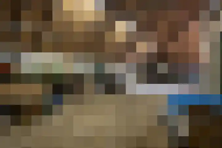 Binnenweg 37 Paasloo thumbnail 70