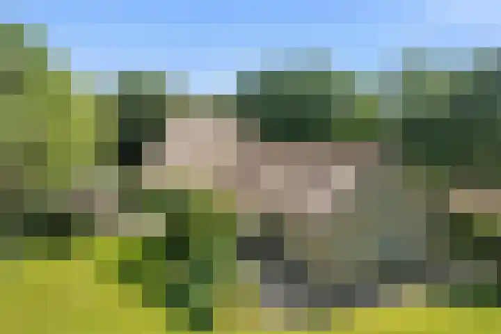 Binnenweg 37 Paasloo thumbnail 73
