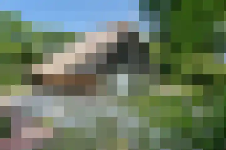 Binnenweg 37 Paasloo thumbnail 8
