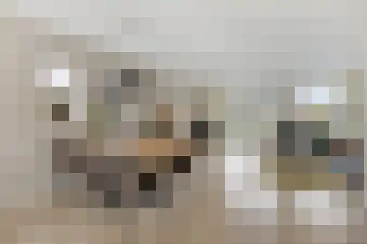 Binnenwei 25 Loo Gld thumbnail 13