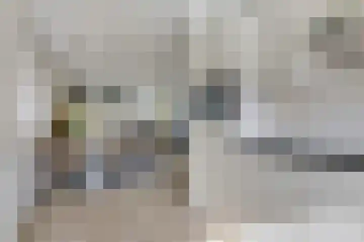 Binnenwei 25 Loo Gld thumbnail 21