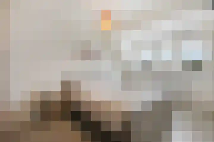 Binnenwei 25 Loo Gld thumbnail 24