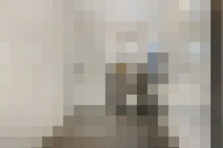 Binnenwei 25 Loo Gld thumbnail 27