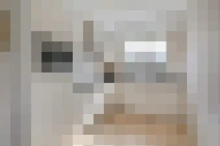 Binnenwei 25 Loo Gld foto 3