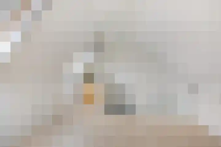 Binnenwei 25 Loo Gld thumbnail 32