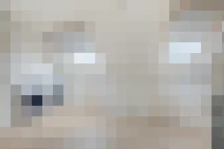 Binnenwei 25 Loo Gld thumbnail 33