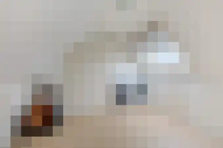 Binnenwei 25 Loo Gld thumbnail 34