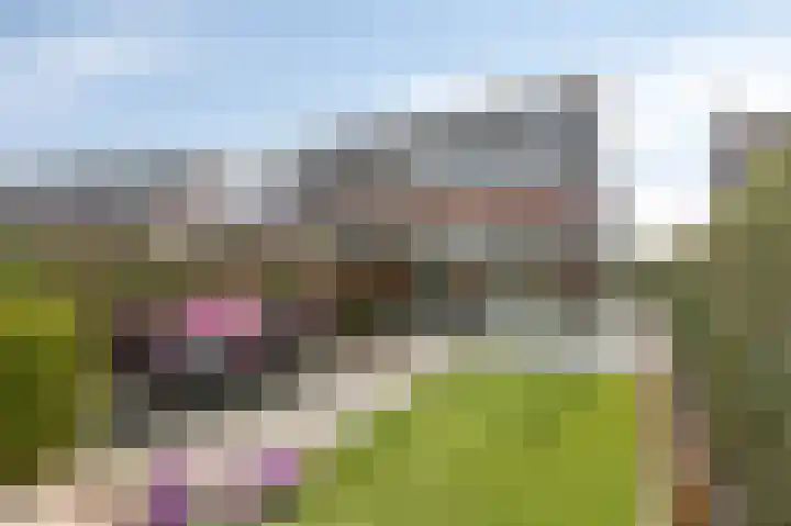 Binnenwei 25 Loo Gld thumbnail 4