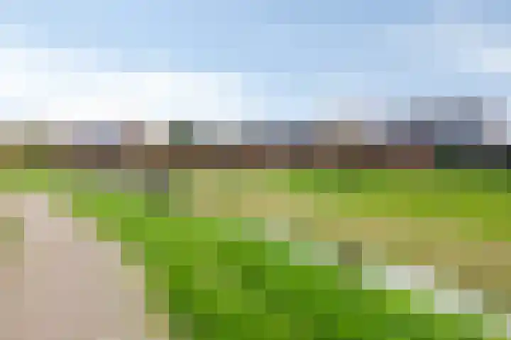 Binnenwei 25 Loo Gld thumbnail 49