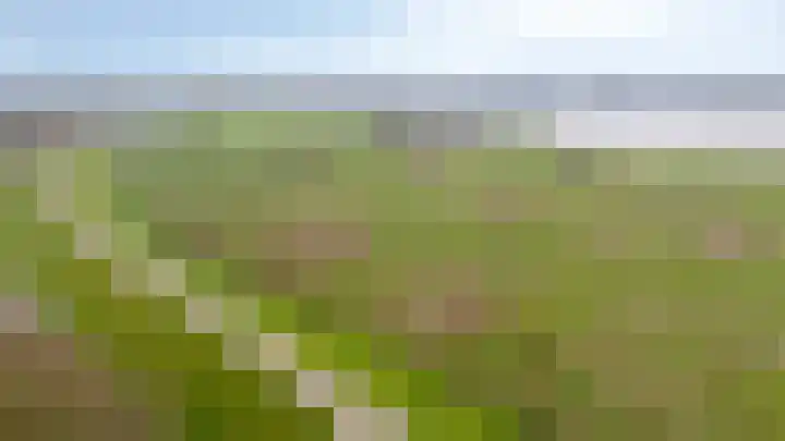 Binnenwei 25 Loo Gld thumbnail 50