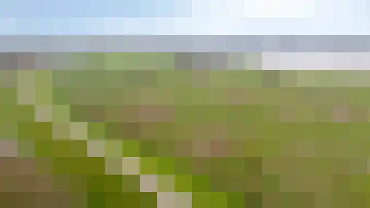 Binnenwei 25 Loo Gld thumbnail 6