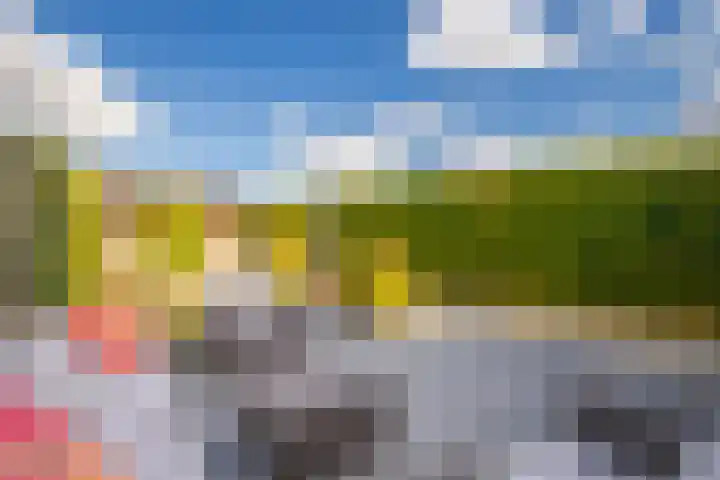 Binnenwei 29 Loo Gld thumbnail 10