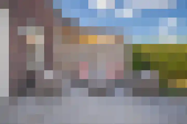 Binnenwei 29 Loo Gld thumbnail 12