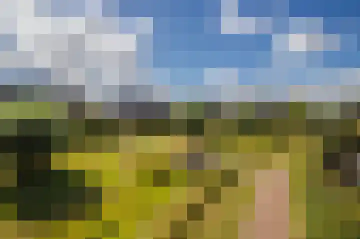 Binnenwei 29 Loo Gld thumbnail 13