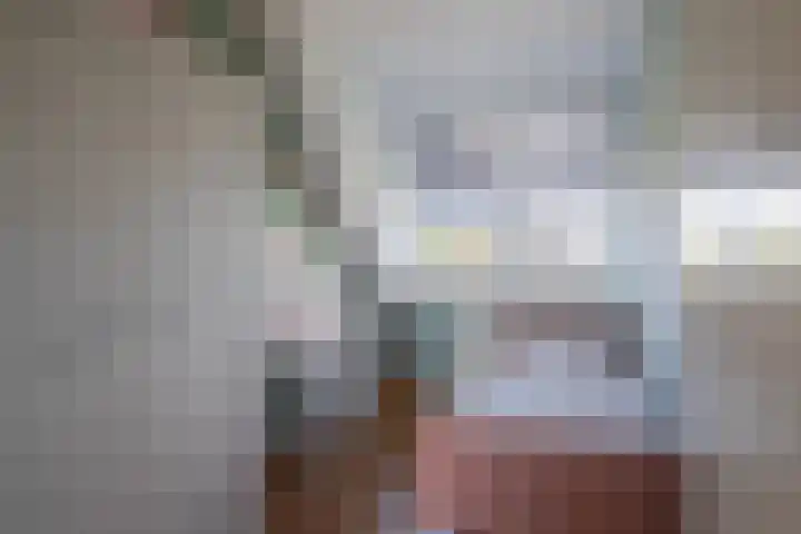 Binnenwei 29 Loo Gld thumbnail 17