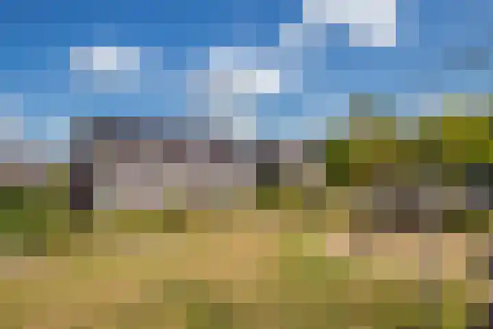 Binnenwei 29 Loo Gld thumbnail 22