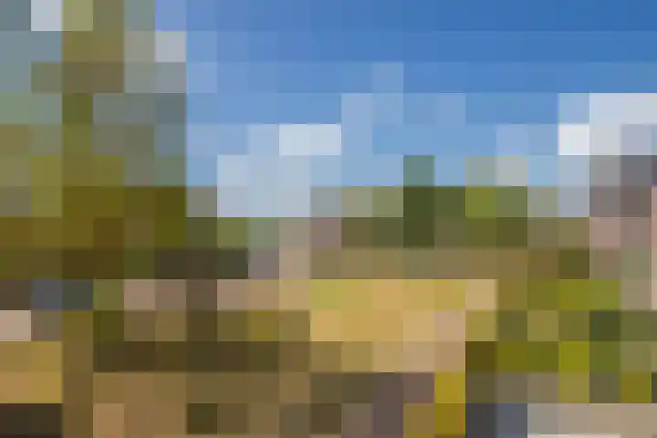 Binnenwei 29 Loo Gld thumbnail 23