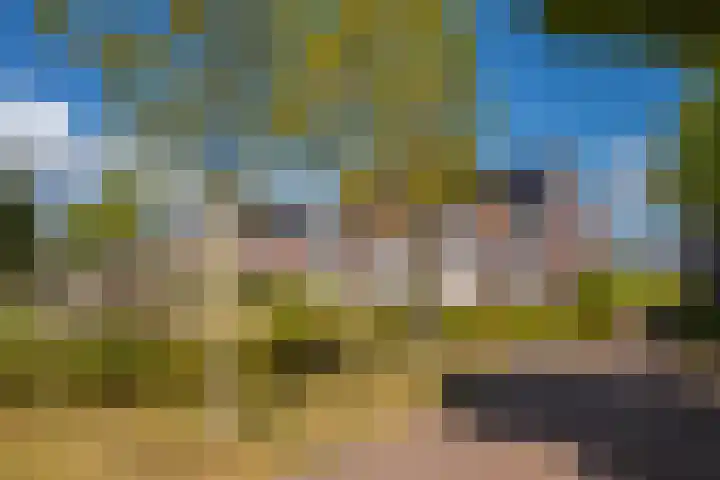 Binnenwei 29 Loo Gld thumbnail 24