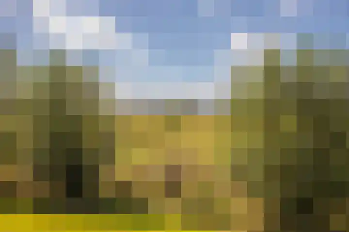 Binnenwei 29 Loo Gld thumbnail 26