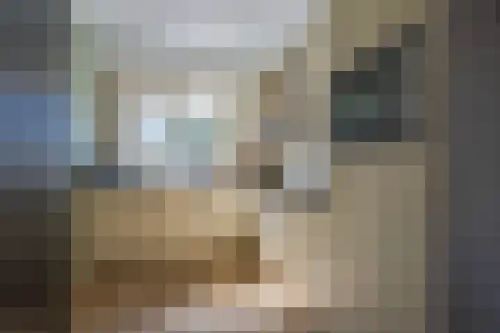 Binnenwei 29 Loo Gld thumbnail 7