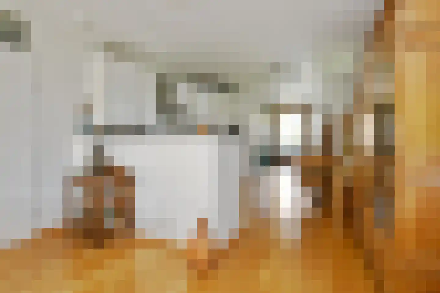 Binnenwiek 14 Weert thumbnail 11