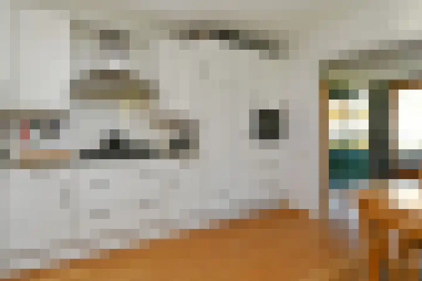 Binnenwiek 14 Weert thumbnail 5