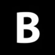 Logo van Bint makelaars en taxateurs - Sneek