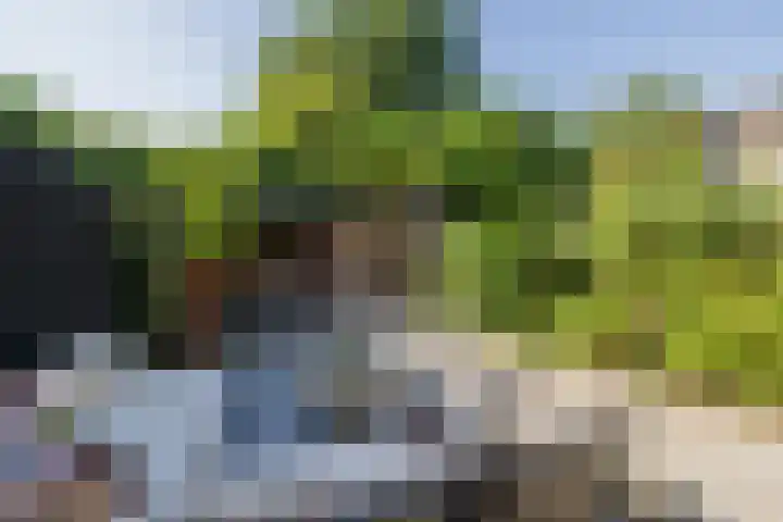 Birkholm 22 Hoofddorp thumbnail 16