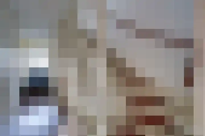 Birkhoven 3 Vleuten thumbnail 34