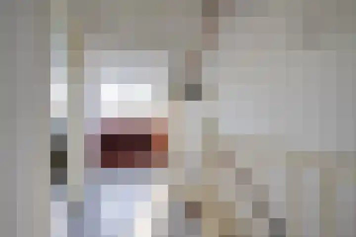 Birkhoven 3 Vleuten thumbnail 42