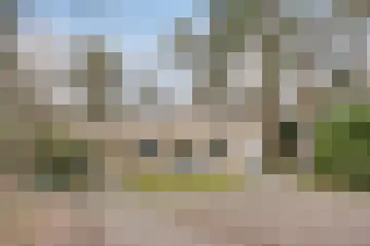 Bisonlaan 9 in Son en Breugel