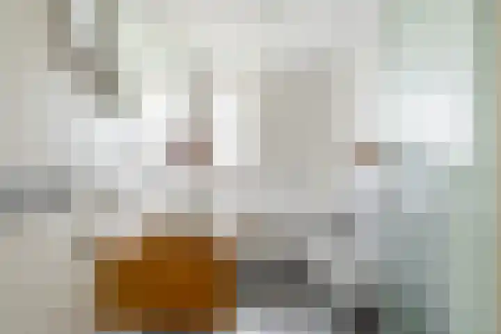 Bisonstraat 44 Purmerend thumbnail 36