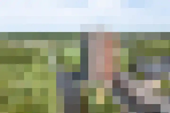 Bisonstraat 82 Purmerend thumbnail 6