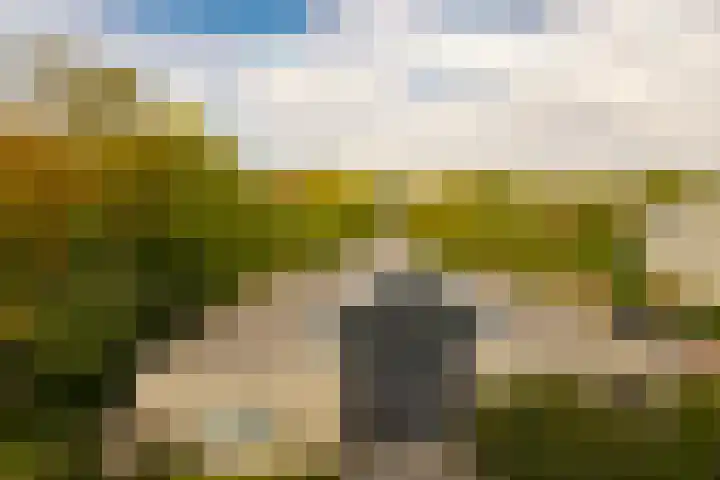 Bispinckpark 40 Bloemendaal thumbnail 11