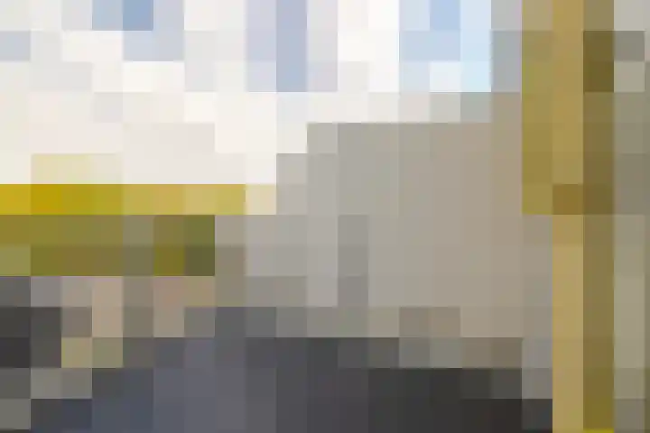 Bispinckpark 40 Bloemendaal thumbnail 9