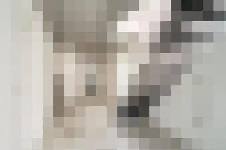 Bisschopsberg 4 Zoetermeer thumbnail 10